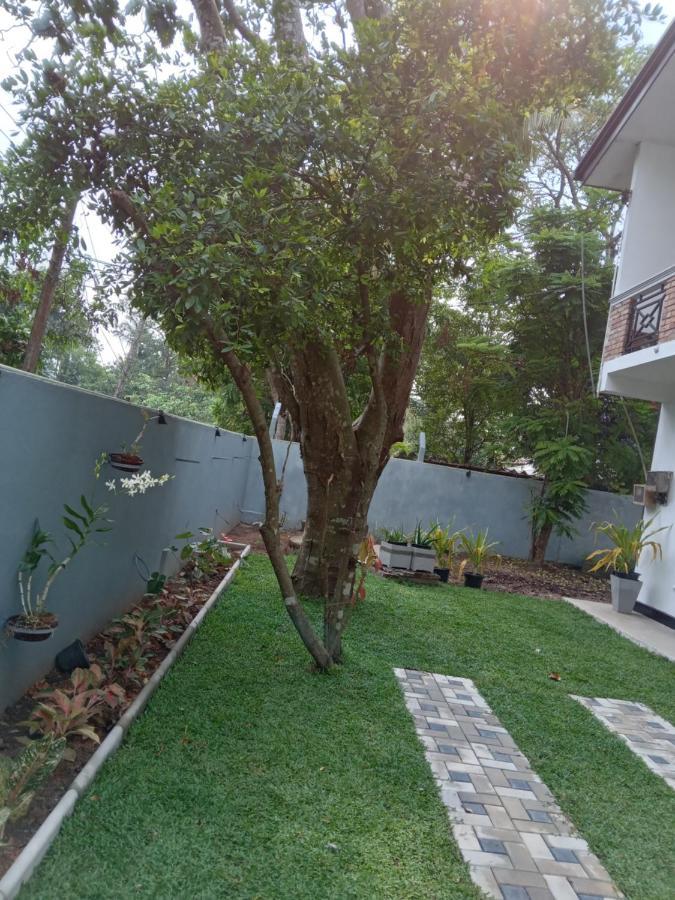 Bed and Breakfast Sky Bloom Homagama Exterior foto