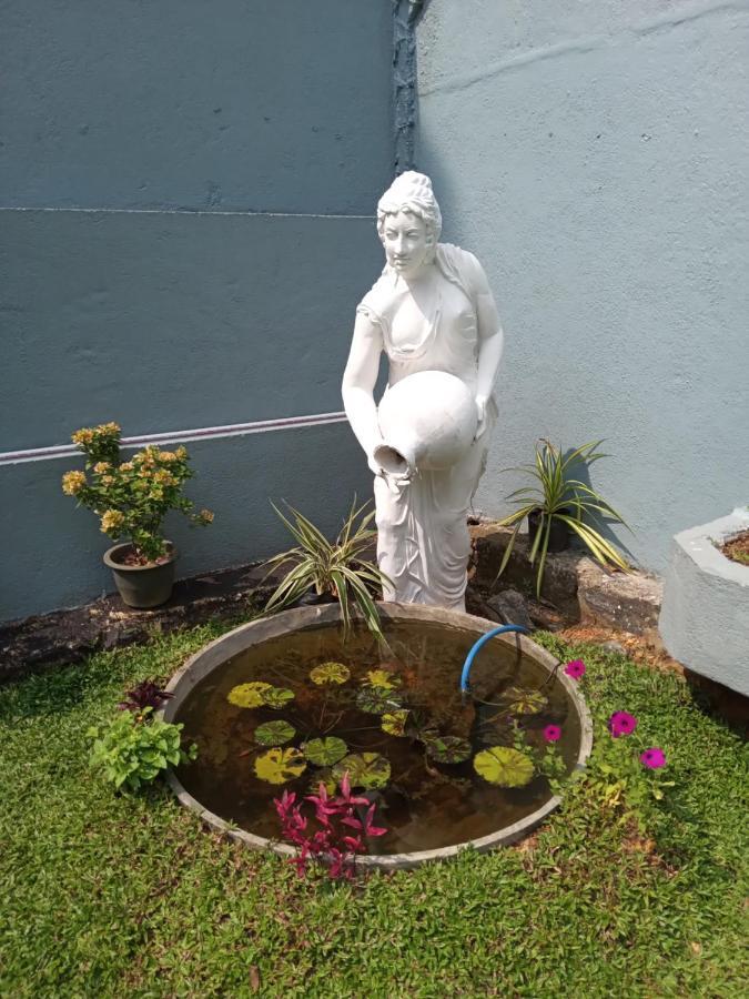 Bed and Breakfast Sky Bloom Homagama Exterior foto