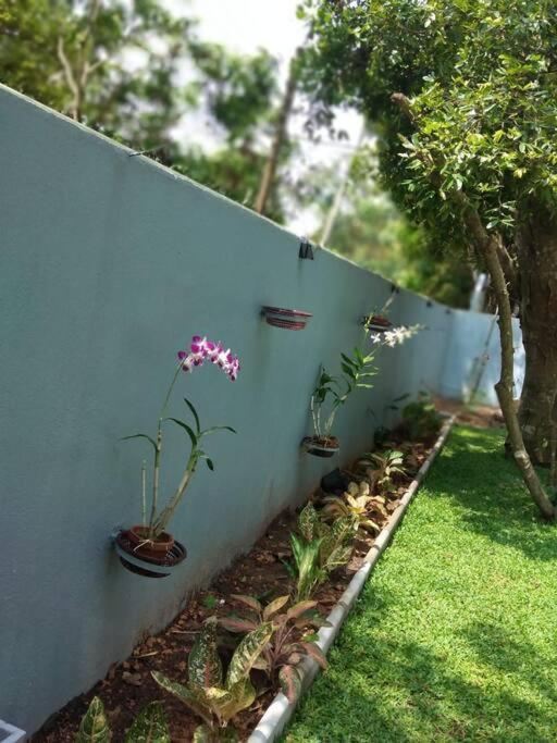 Bed and Breakfast Sky Bloom Homagama Exterior foto