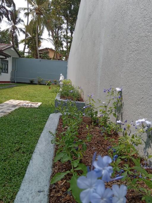 Bed and Breakfast Sky Bloom Homagama Exterior foto